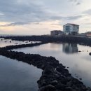 철이농장 이미지