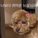 연희동, 연남동, 한남동, 잠실 열심히 돌아다니며 쇼핑하는 일상
