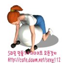[다이어트 어깨운동 40] 짐볼 릴 델트 로우 (Fitball Rear Delt Row) 이미지