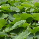 합천군산림조합 이미지