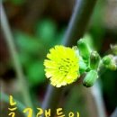 오늘은빨래