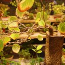 봉곡동131 이미지