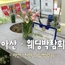 본사앤코 | SN웨딩 다이렉트박람회 천안 방문 및 당일계약 후기 다이렉트 추천인(10주년이라 20만원 혜택 받고가세요)