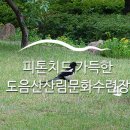 천곡사 계곡 | 피톤치드 가득한 포항 도음산산림문화수련장 숲속을 걸어요! :: 포항여행지, 포항 여행, 주말여행