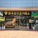 분당-판교-2024 이미지