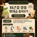 (주)에코에너지(에코-05-몰텍 태양광발전소) | 26년05월22일 퇴근길에 보는 증시 핫이슈 뉴스