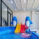 오무께풀빌라 | ★ 리버뷰 가평풀빌라 비바키즈풀빌라 다녀온 후기★