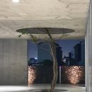 모우먼트 | 제주공항 근처 대형카페 진정성 종점 // 짐승용량 밀크티 한라봉 뺑드젠, 고급스럽고 전문적이다