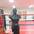 순천 엘리트복싱 이미지