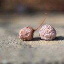 고양누리길 3코스 서삼릉누리길 | [고양누리길] 3코스, 서삼릉누리길('26.2.21.)