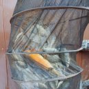 연론낚시터 이미지