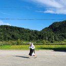 학산3 협동조합 | ebts 협동조합 독도 사랑 플래시몹 소식 정리