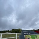 제주특별자치도장애인부모회 | 2021년 11월 제주2🍊 마이리얼트립 제주 남쪽 프리미엄 감성 제주도 버스투어 후기 :: 사려니숲길...