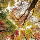 늘좋은날 - 홍성군 | 늘좋은날