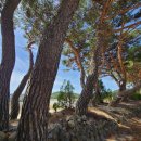 흥해서부초등학교 이미지