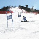 용평리조트 이미지