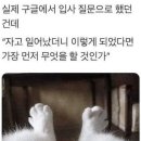 입사 이미지
