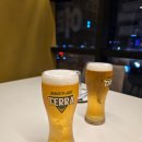 배곧아브뉴프랑센트럴엘로우 | 배곧 카사데타코 후기 | 아브뉴프랑레드동 2층 넓고 맛있는 타코집 추천