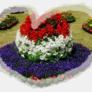 수영강변 이미지