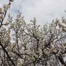 신암공원 이미지