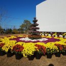 서해장식 이미지