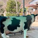 고구려 목장 | 파주 고구려 목장 체험 후기