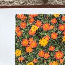 오일파스텔로 그리는 시 이미지