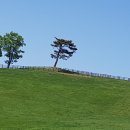 설악목장 이미지