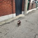 (주)알알알 이미지