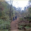 등촌2동366 이미지