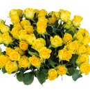 레츠런행정사사무소 이미지