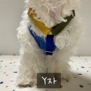 플레이 바우 이미지