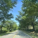 태영카 | 블루원용인(구 태영cc) 동코스 퍼블릭 / 평일, 목요일 3부 후기