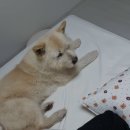 빛나는오늘 이미지