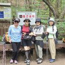 2026/5/27(수)상현역출발~광교산자락버들치고개~천년약수터~반딧불화장실~경기대후문~광교역하산 이미지