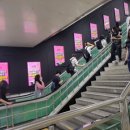 릴리성형외과의원 이미지