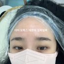 [정자] 분당 헤어라인, 눈썹 문신 내돈내산 아인뷰티랩 후기