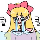 제주인포항 이미지
