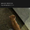 여캡내놔36. 이미지