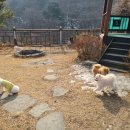 멍펜션13 이미지