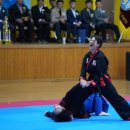 M합기도 이미지