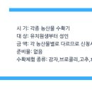 대화초 개수분교장 이미지