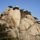 에덴동산 이미지