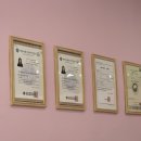 J애견미용 이미지