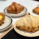 닷큐먼트
