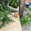 두꺼비민박 이미지