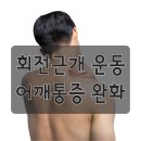 필라테스를 통한 회전근개 강화: 부상 예방과 회복의 비밀 이미지