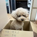 한소루