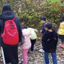 시립배곧호반2차어린이집 이미지