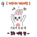 코스마켓 | : 시드니대학(사진명소)/호주젤라또맛집(messina)/패디스마켓(기념품추천)/나시고랭 가성비맛집(Lestari...